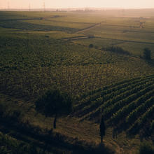 Lade das Bild in den Galerie-Viewer, Winzerabend im Weinkontor: Weingut Philipp Wittmann / Rheinhessen - 11.10.2024
